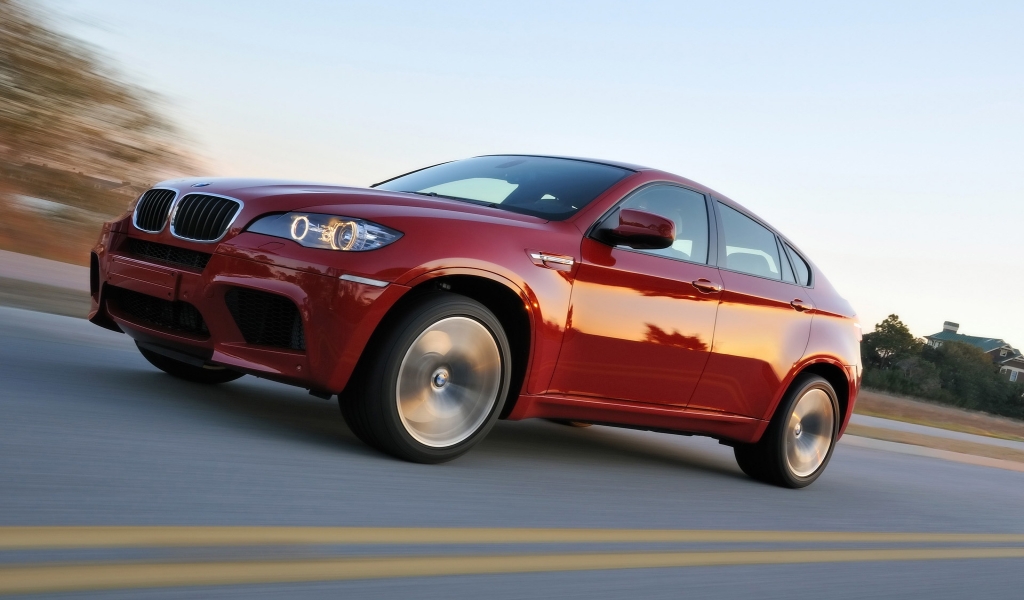 BMW X6 M Speed 2009 for 1024 x 600 widescreen resolution