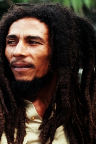 Bob Marley Dreadlocks for 320 x 480 iPhone resolution