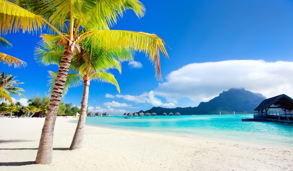 Bora Bora Beach for 1024 x 600 widescreen resolution