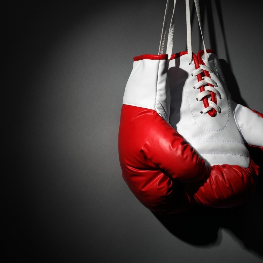 Boxing Gloves for 1024 x 1024 iPad resolution