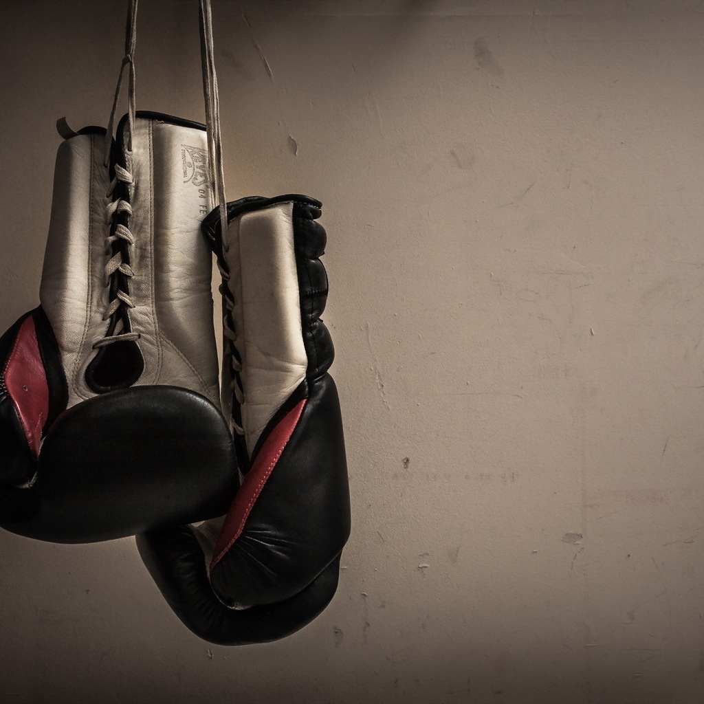Boxing Gloves Hanging for 1024 x 1024 iPad resolution