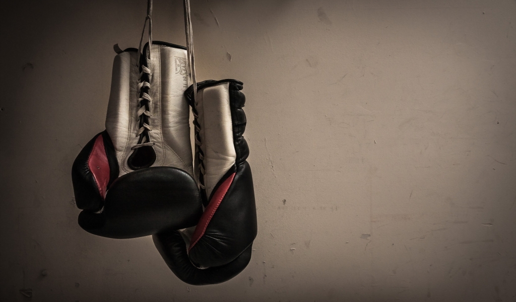 Boxing Gloves Hanging for 1024 x 600 widescreen resolution