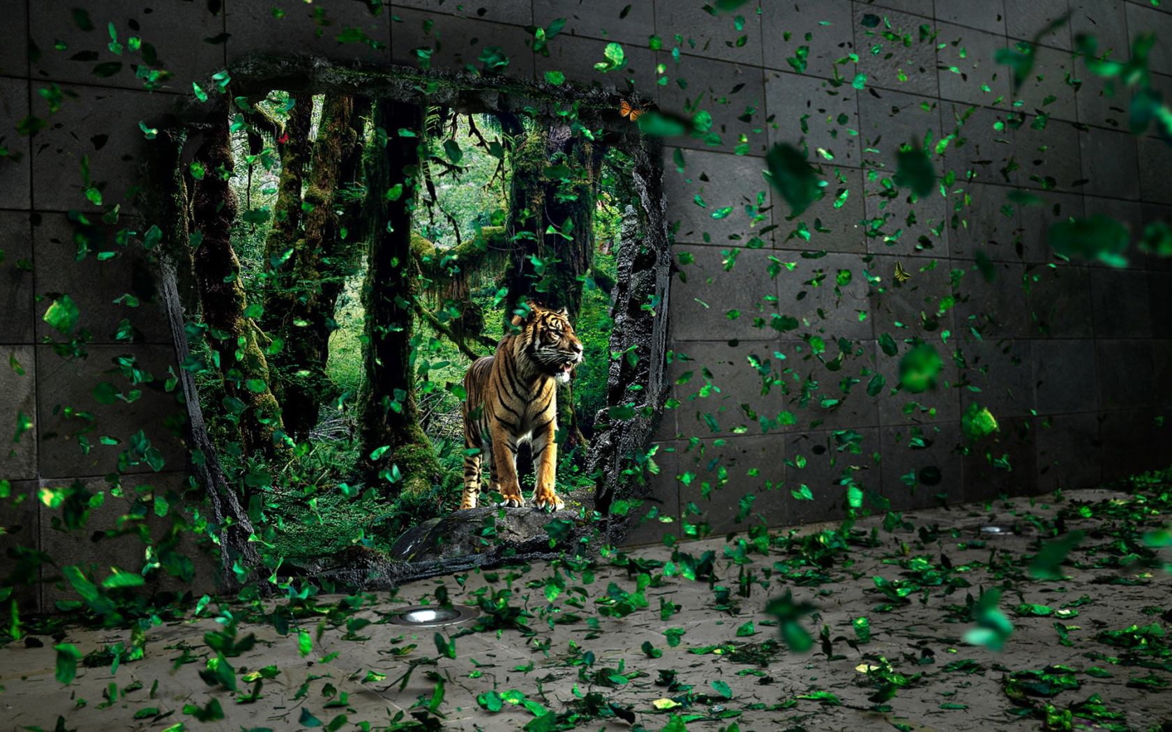 Brave tigre apparition for 1680 x 1050 widescreen resolution