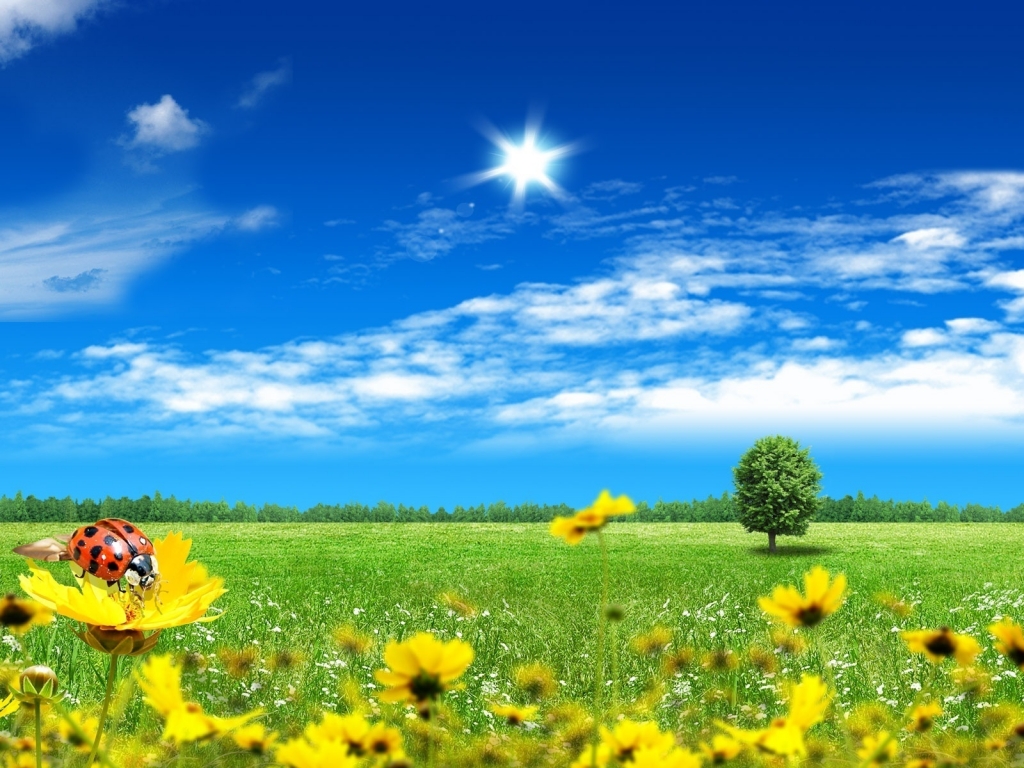 Bright Spring for 1024 x 768 resolution