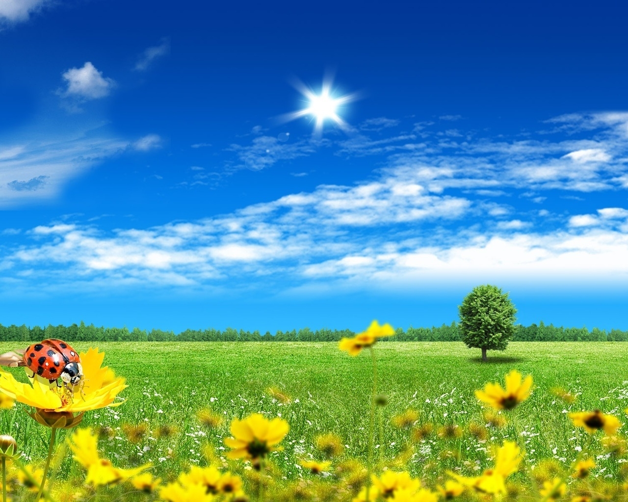 Bright Spring for 1280 x 1024 resolution