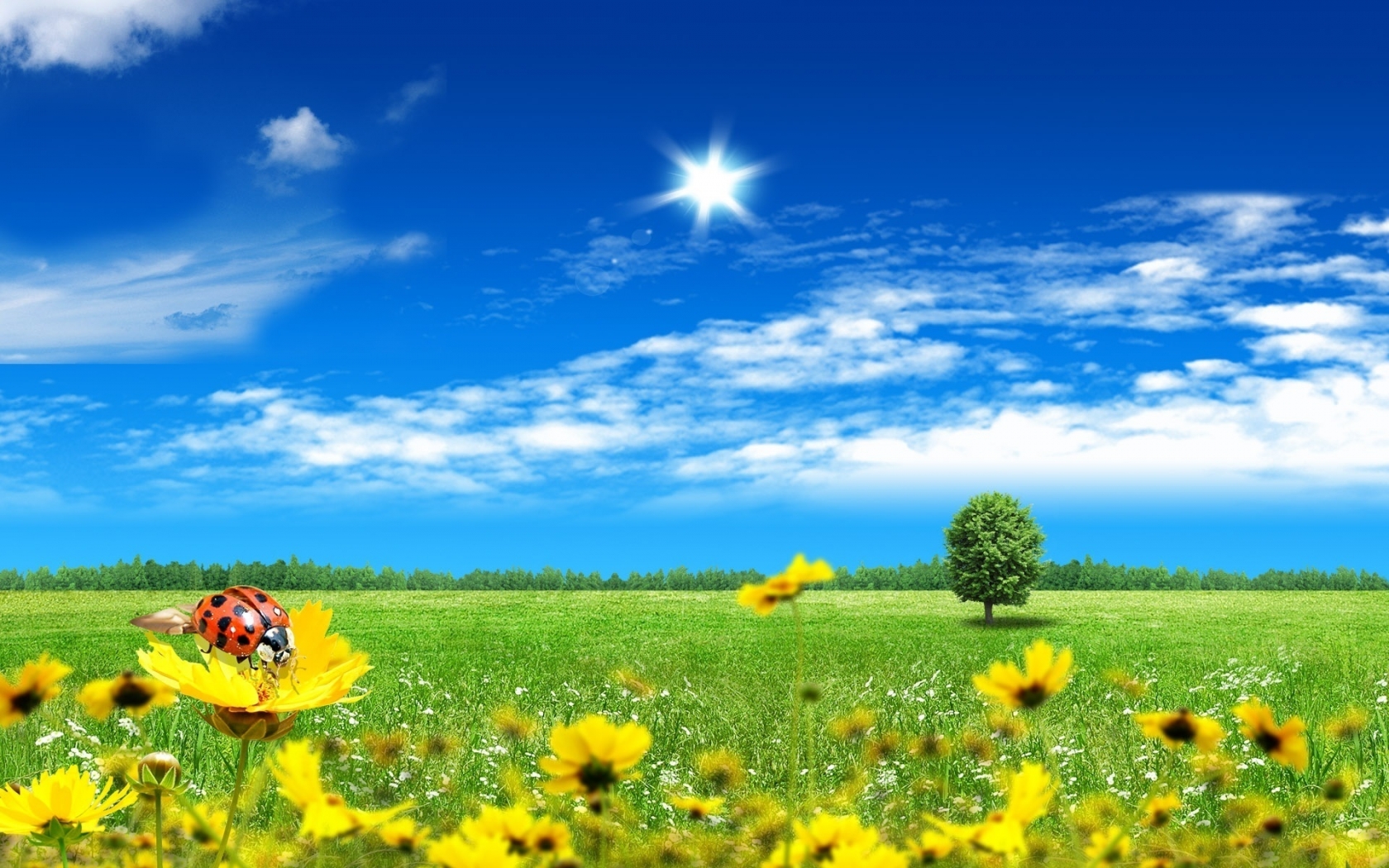 Bright Spring for 1680 x 1050 widescreen resolution