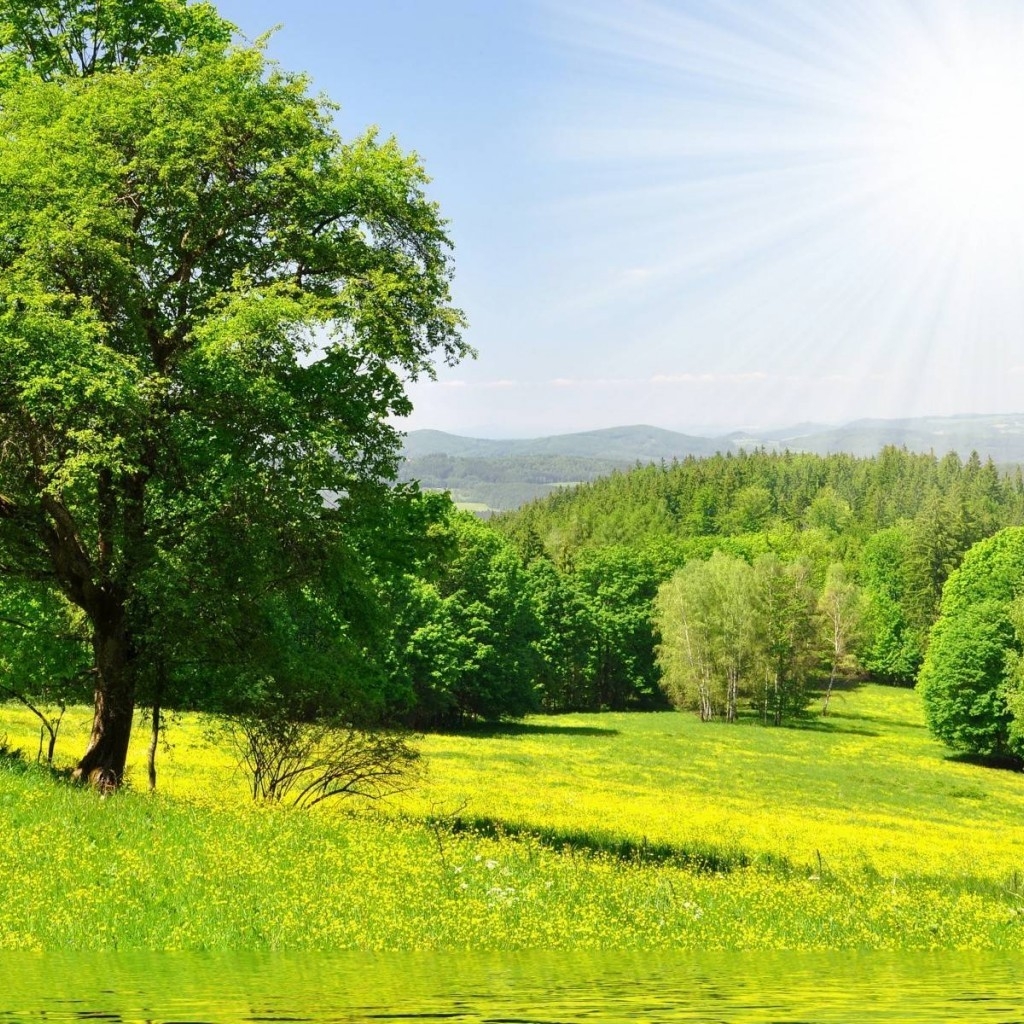 Bright Spring Landscape for 1024 x 1024 iPad resolution