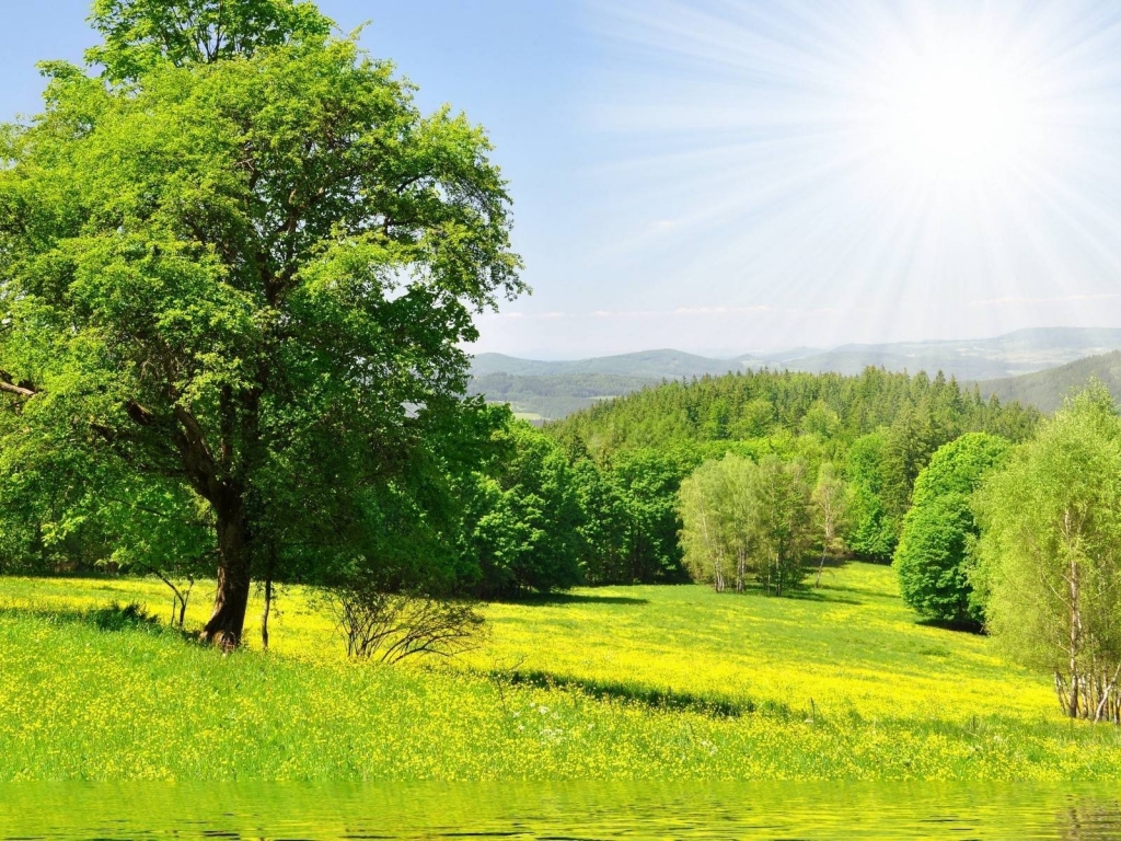 Bright Spring Landscape for 1024 x 768 resolution