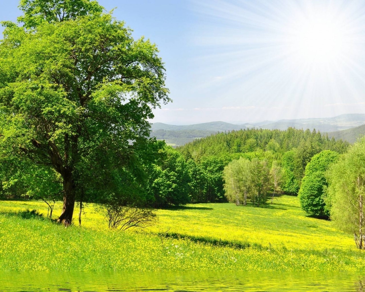 Bright Spring Landscape for 1280 x 1024 resolution