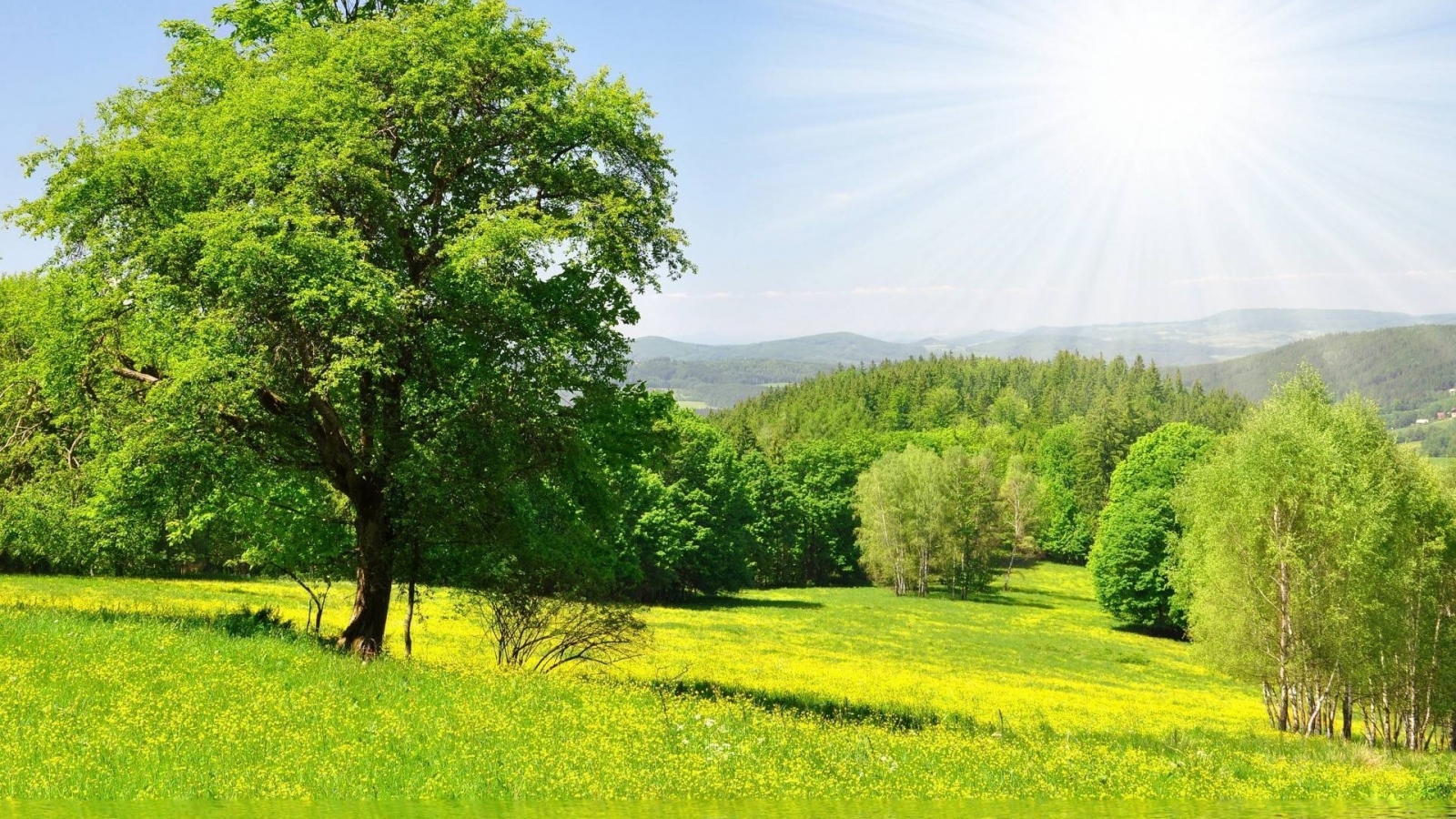 Bright Spring Landscape for 1600 x 900 HDTV resolution