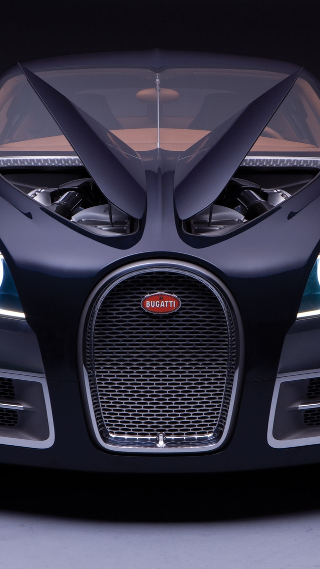 Bugatti SuperVeyron for 640 x 1136 iPhone 5 resolution
