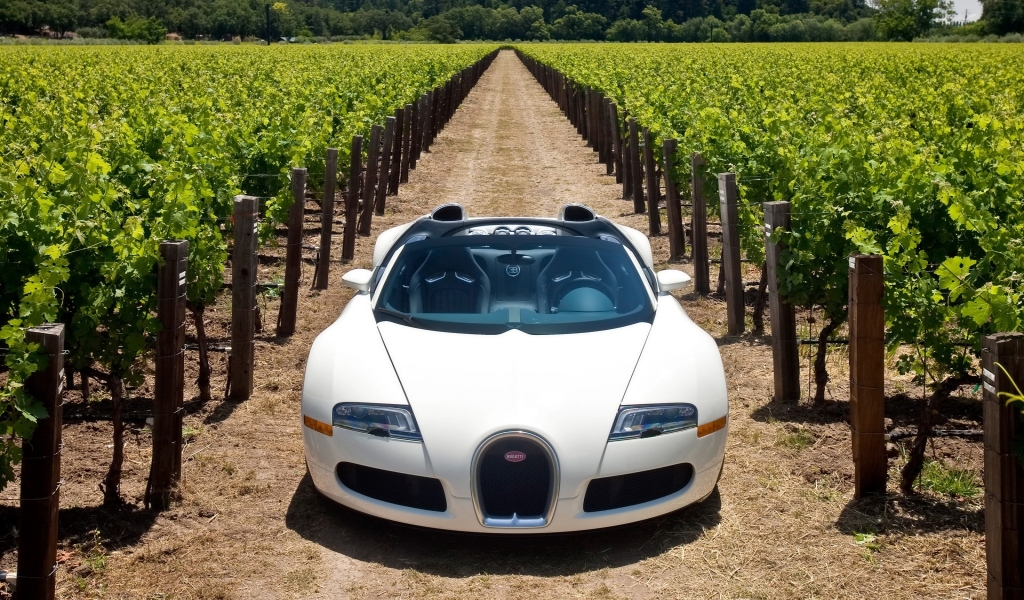 Bugatti Veyron 16.4 Grand Sport 2010 in Napa Valley - Front 2 for 1024 x 600 widescreen resolution