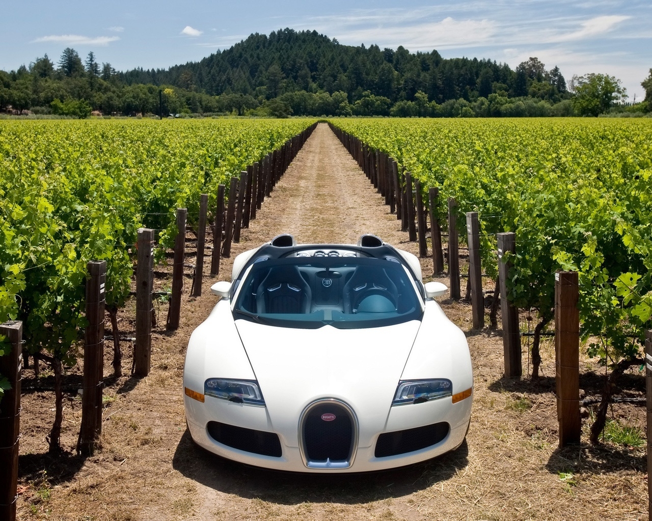 Bugatti Veyron 16.4 Grand Sport 2010 in Napa Valley - Front 2 for 1280 x 1024 resolution
