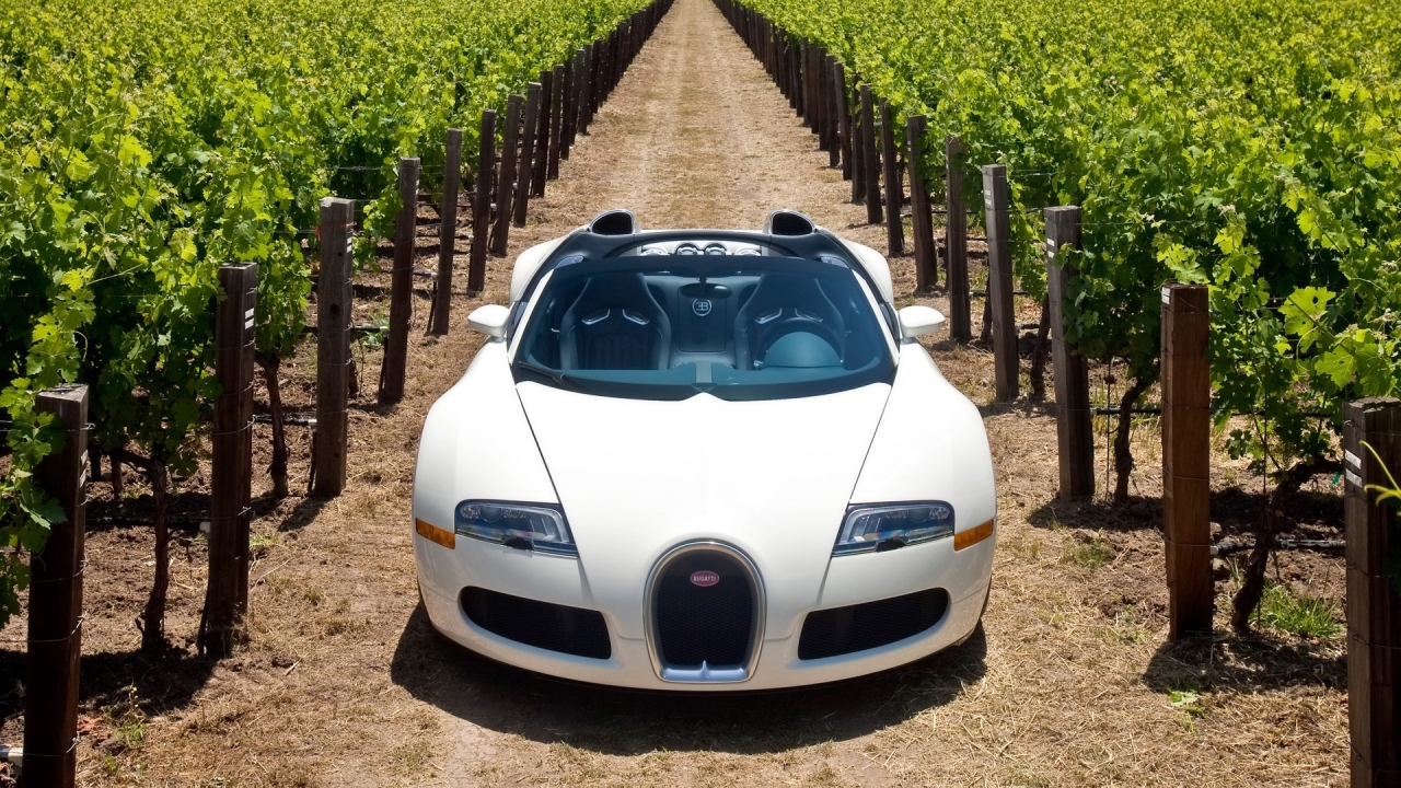 Bugatti Veyron 16.4 Grand Sport 2010 in Napa Valley - Front 2 for 1280 x 720 HDTV 720p resolution