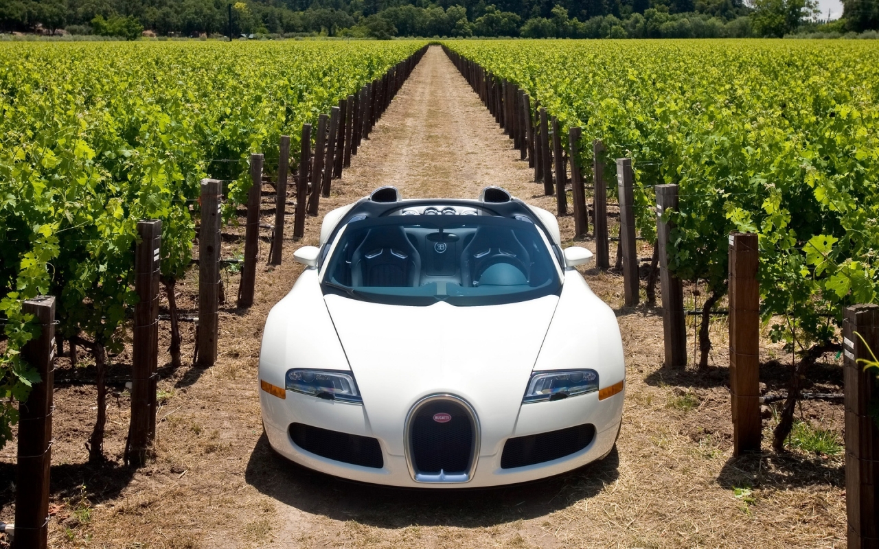 Bugatti Veyron 16.4 Grand Sport 2010 in Napa Valley - Front 2 for 1280 x 800 widescreen resolution