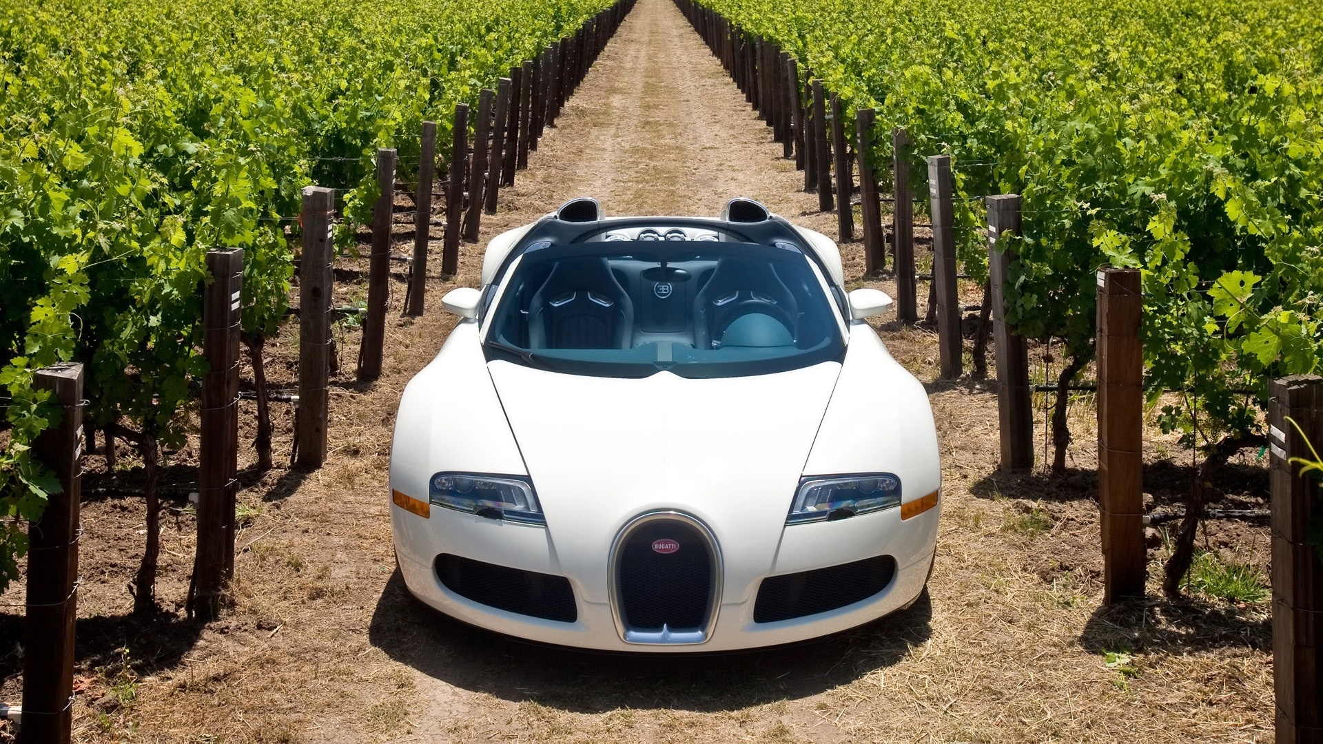 Bugatti Veyron 16.4 Grand Sport 2010 in Napa Valley - Front 2 for 1920 x 1080 HDTV 1080p resolution