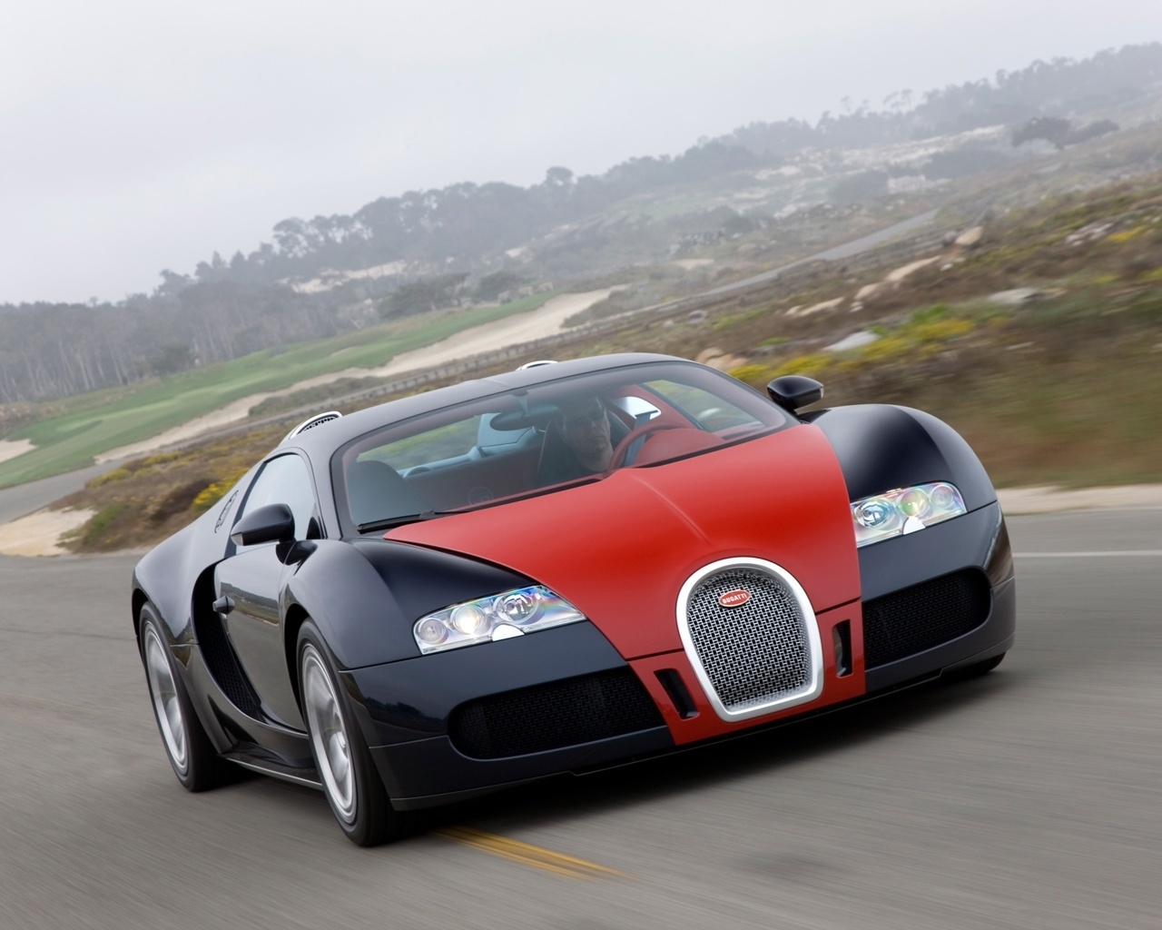 Bugatti Veyron Fbg 2009 par Hermes New Color Combinations - Speed 4 for 1280 x 1024 resolution