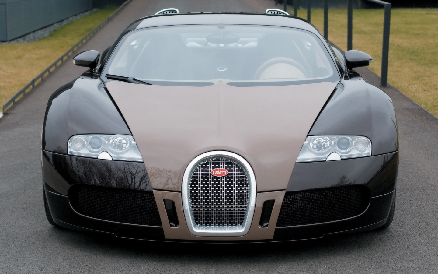 Bugatti Veyron Fbg par Hermes 2008 - Front for 1440 x 900 widescreen resolution