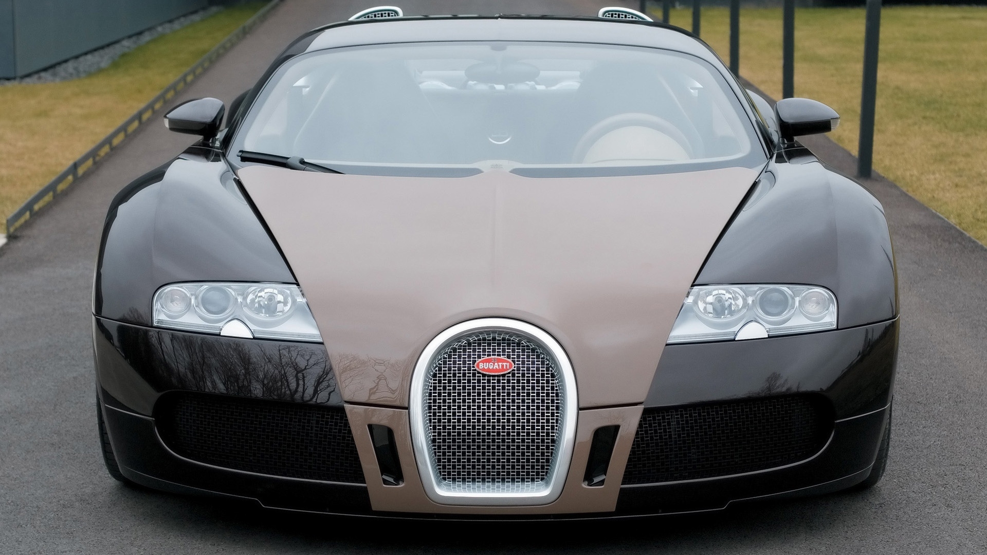 Bugatti Veyron Fbg par Hermes 2008 - Front for 1920 x 1080 HDTV 1080p resolution