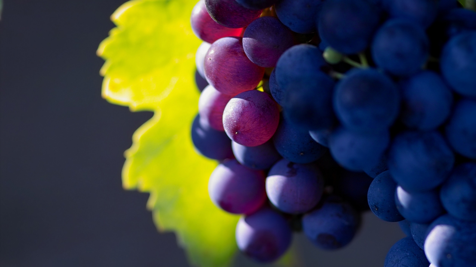 Bunch of Grapes for 1536 x 864 HDTV resolution