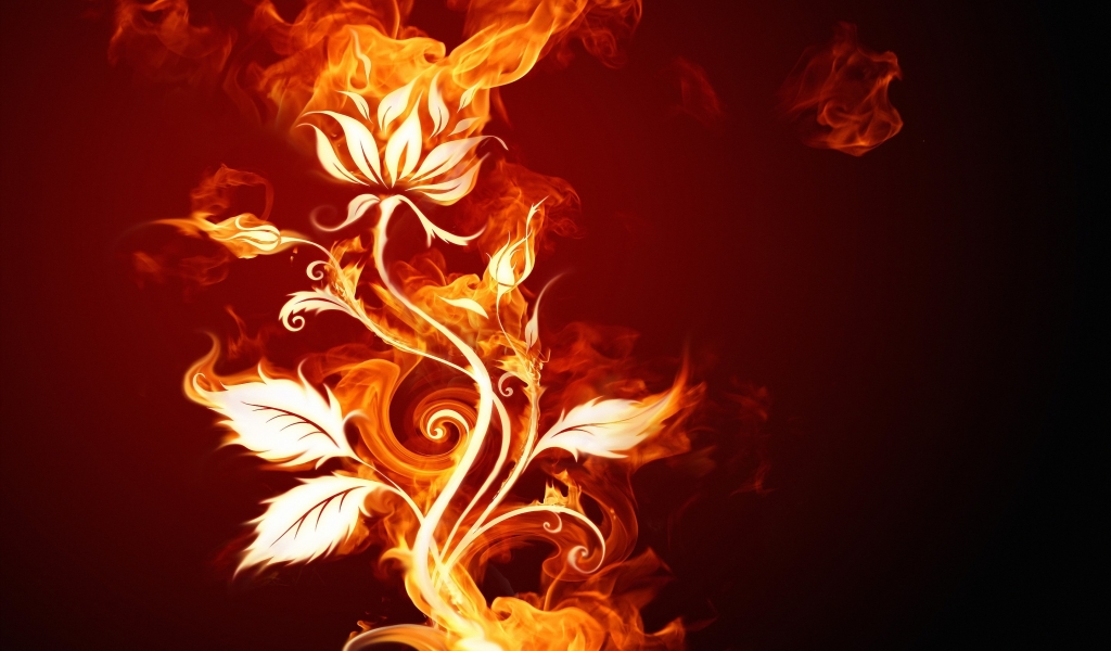 Burning Flower for 1024 x 600 widescreen resolution