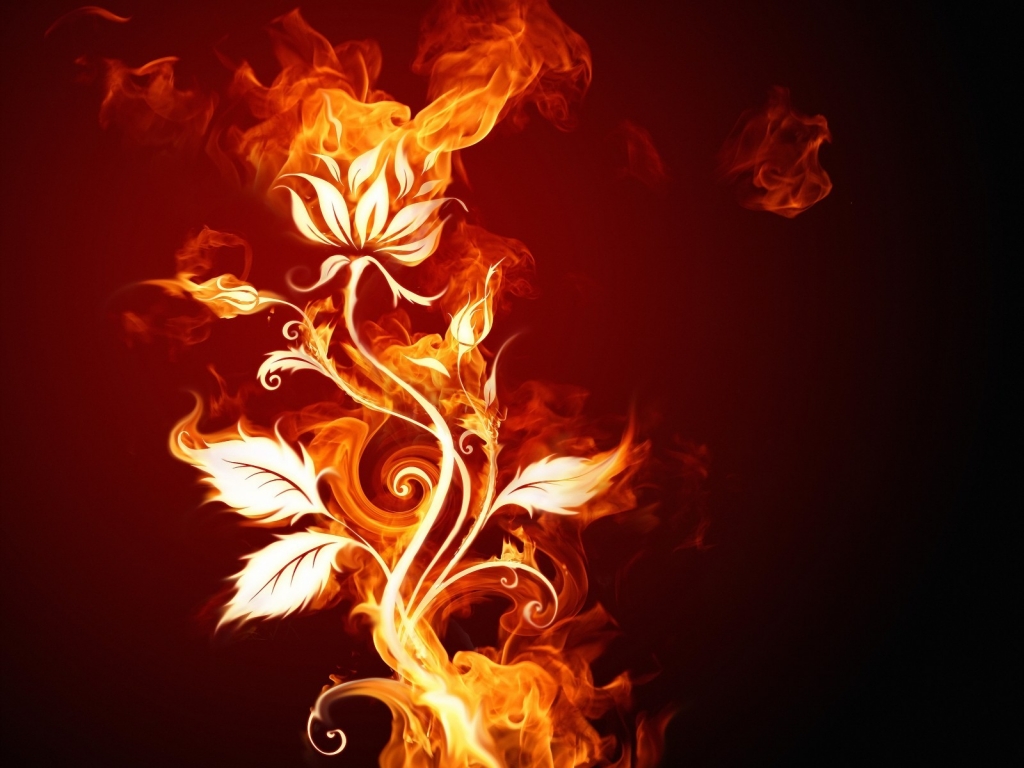 Burning Flower for 1024 x 768 resolution