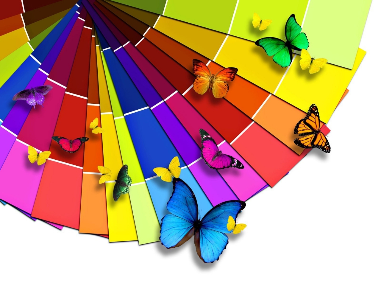 Butterfly Range for 1280 x 960 resolution