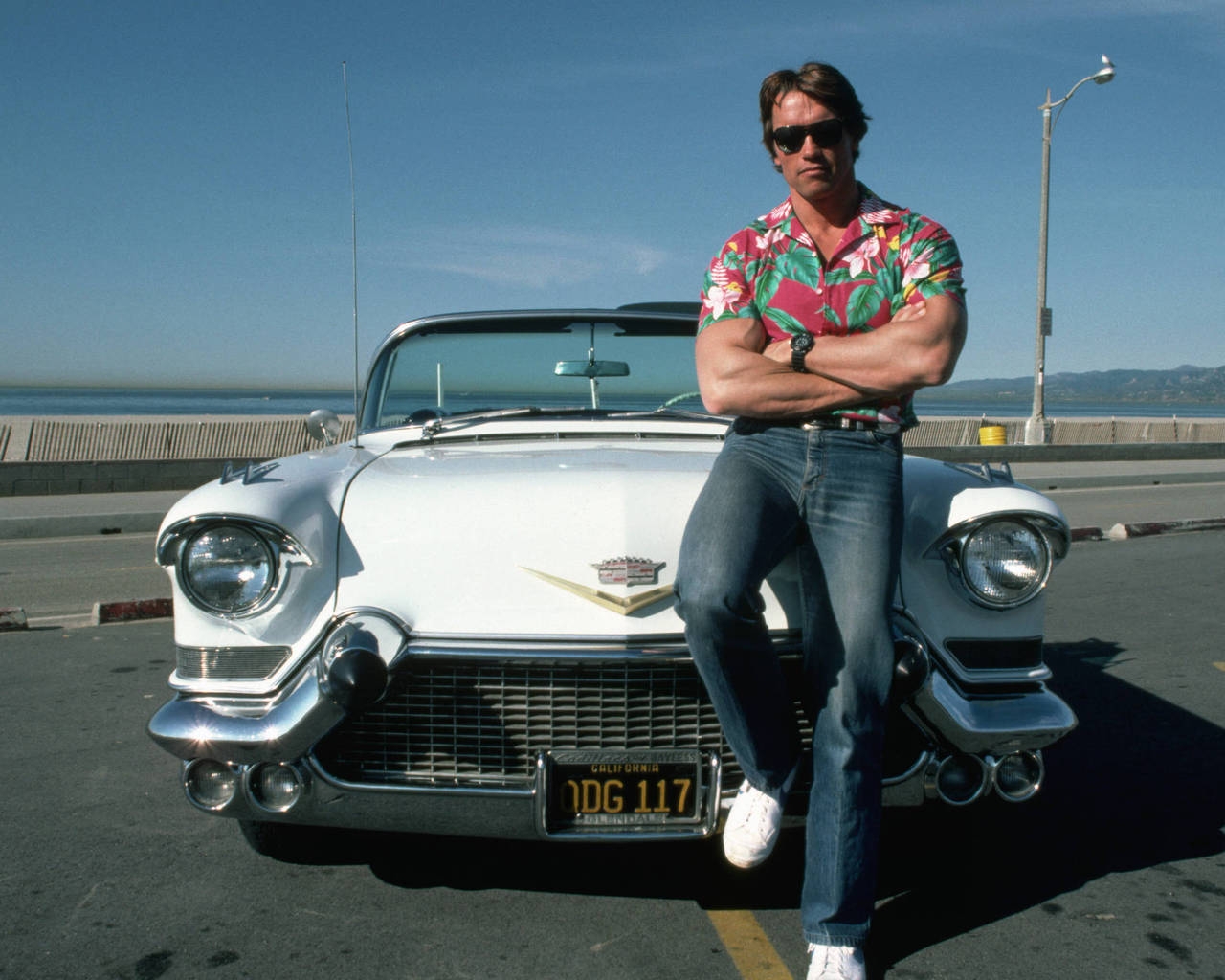 Cadillac and Arnold Schwarzenegger for 1280 x 1024 resolution