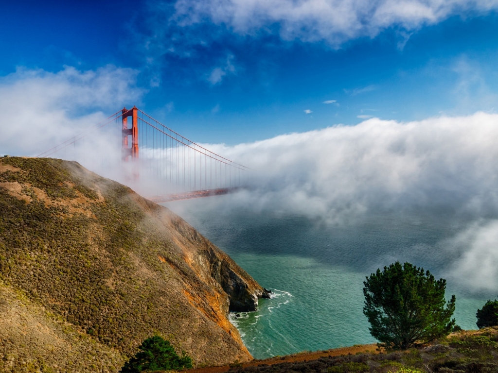 California Bridge for 1024 x 768 resolution