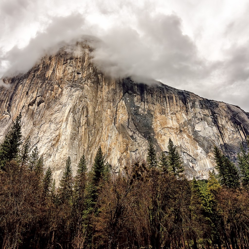 California Yosemite National Park View for 1024 x 1024 iPad resolution