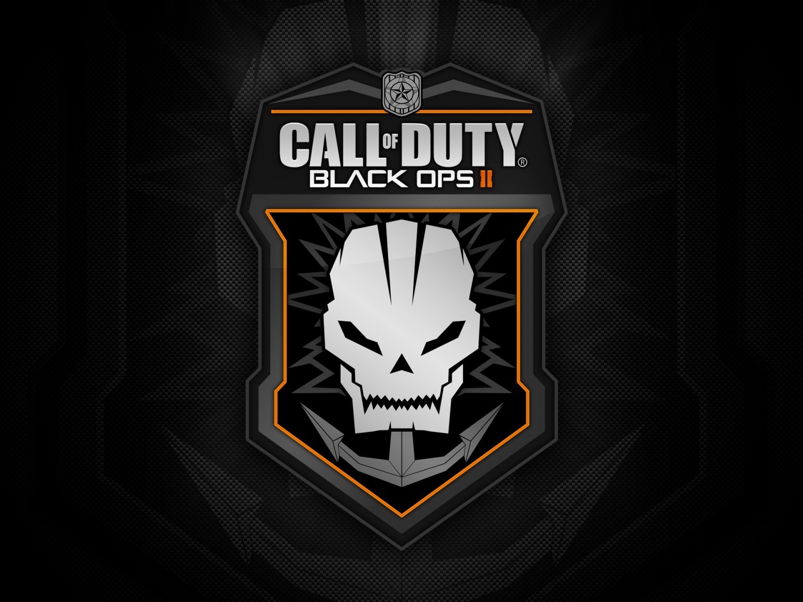 Call of Duty Black Ops 2 Logo for 1600 x 1200 resolution