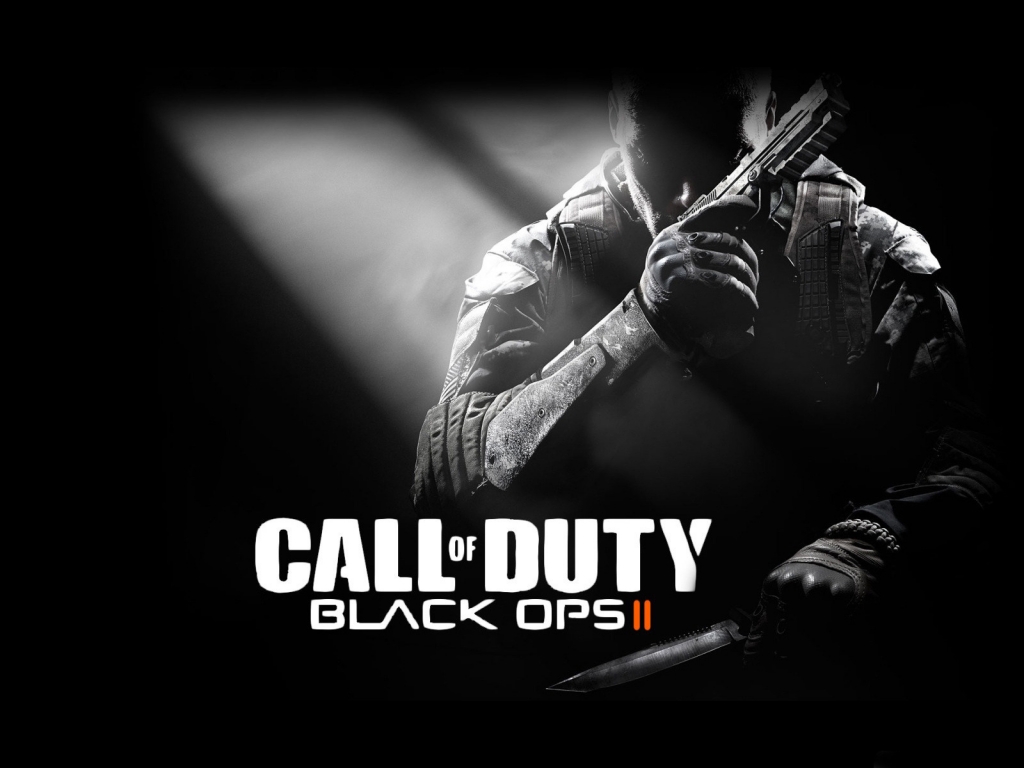 Call of Duty Black Ops II for 1024 x 768 resolution
