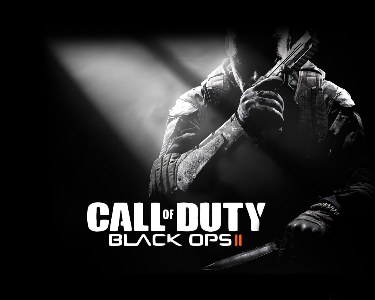 Call of Duty Black Ops II for 1280 x 1024 resolution