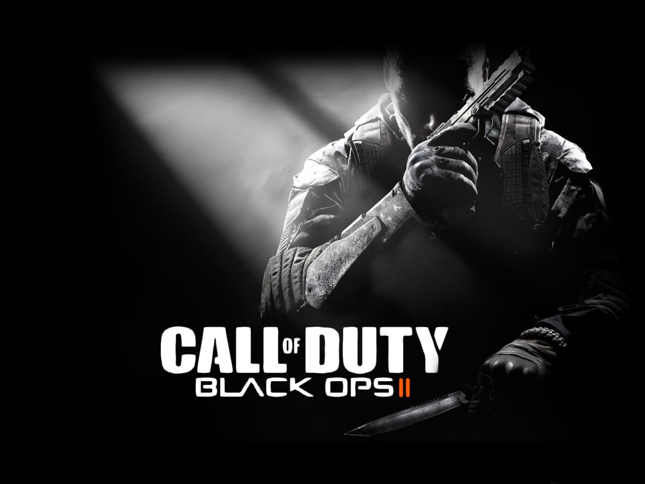 Call of Duty Black Ops II for 1280 x 960 resolution