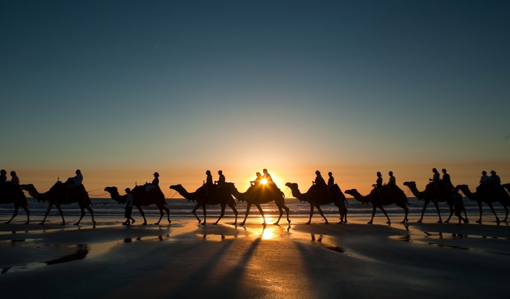 Camel Ride for 1024 x 600 widescreen resolution