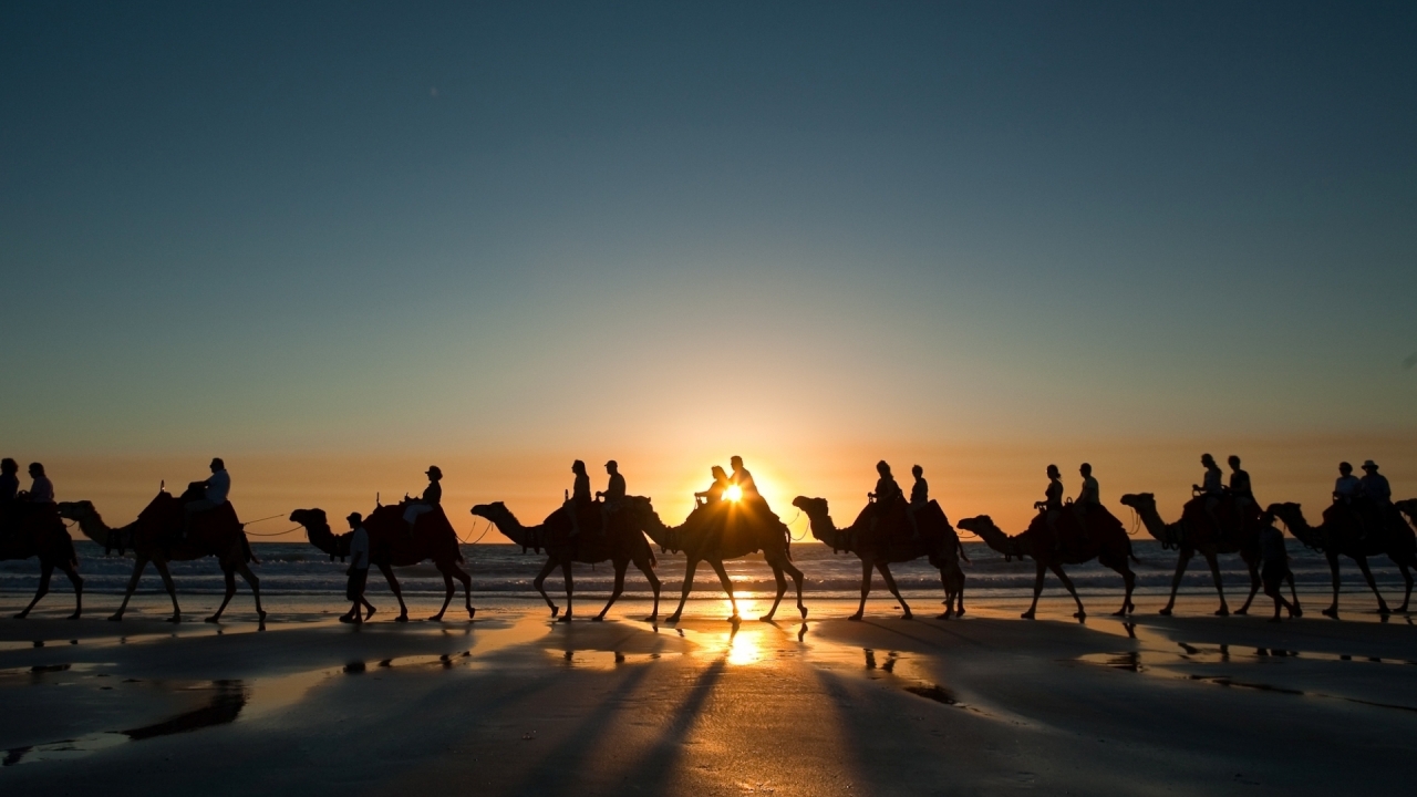 Camel Ride for 1280 x 720 HDTV 720p resolution