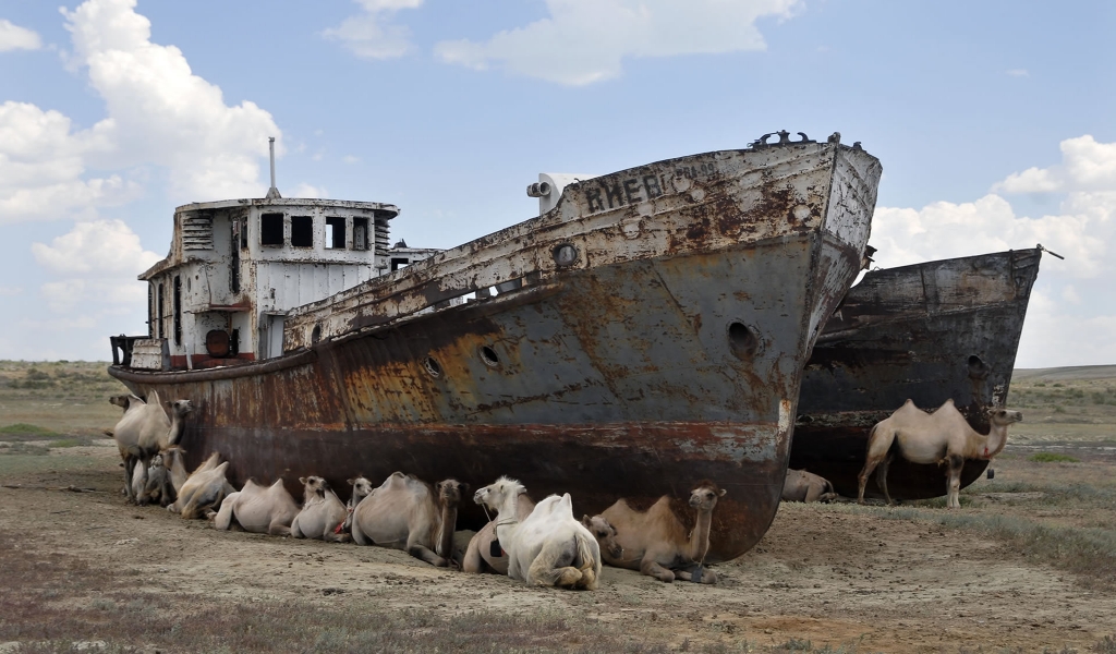 Camels and Lost Boat for 1024 x 600 widescreen resolution