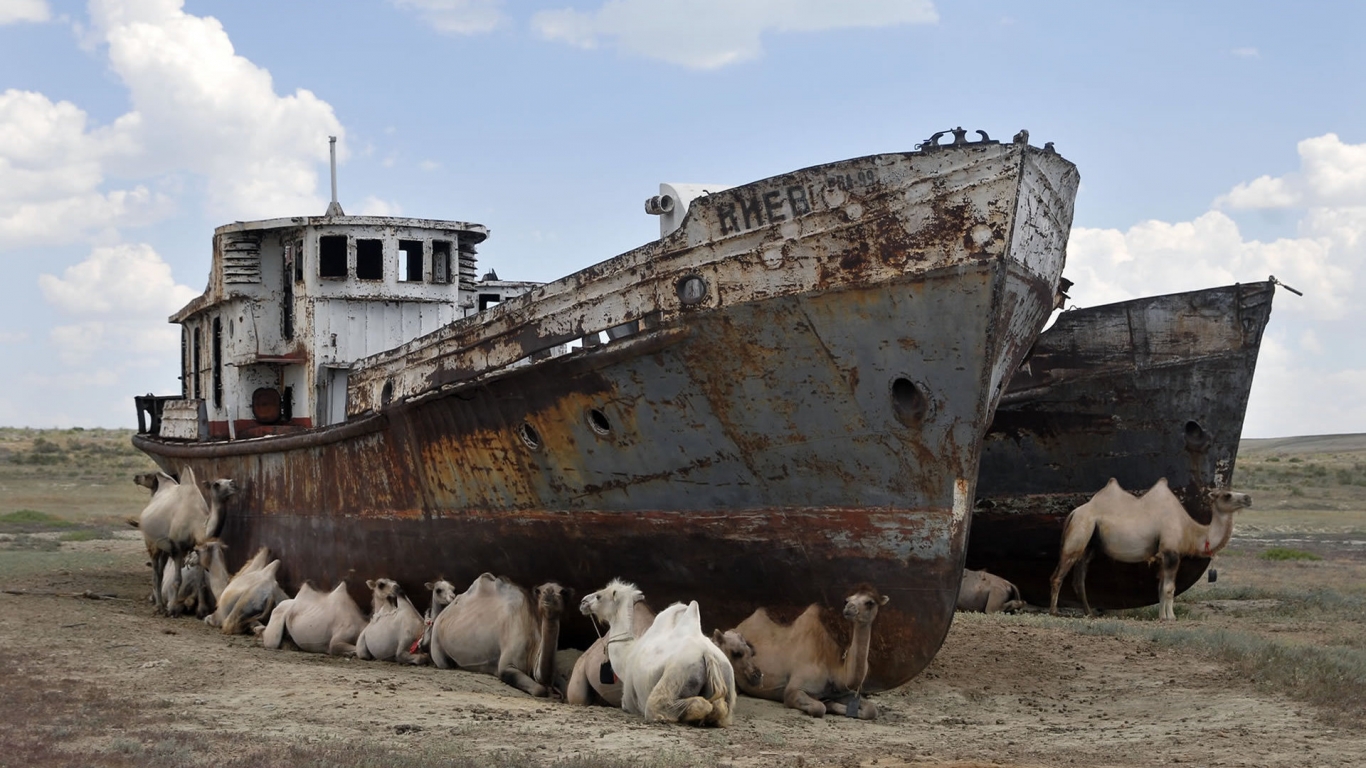 Camels and Lost Boat for 1366 x 768 HDTV resolution