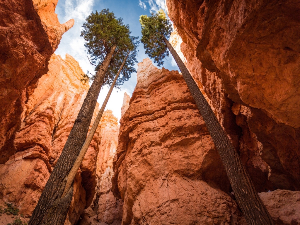 Canyon National Park Bryce Canyon for 1024 x 768 resolution