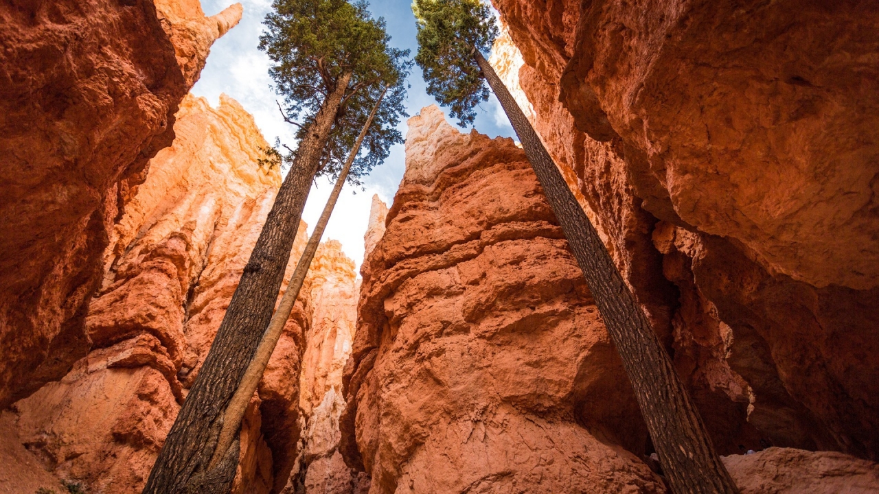 Canyon National Park Bryce Canyon for 1280 x 720 HDTV 720p resolution