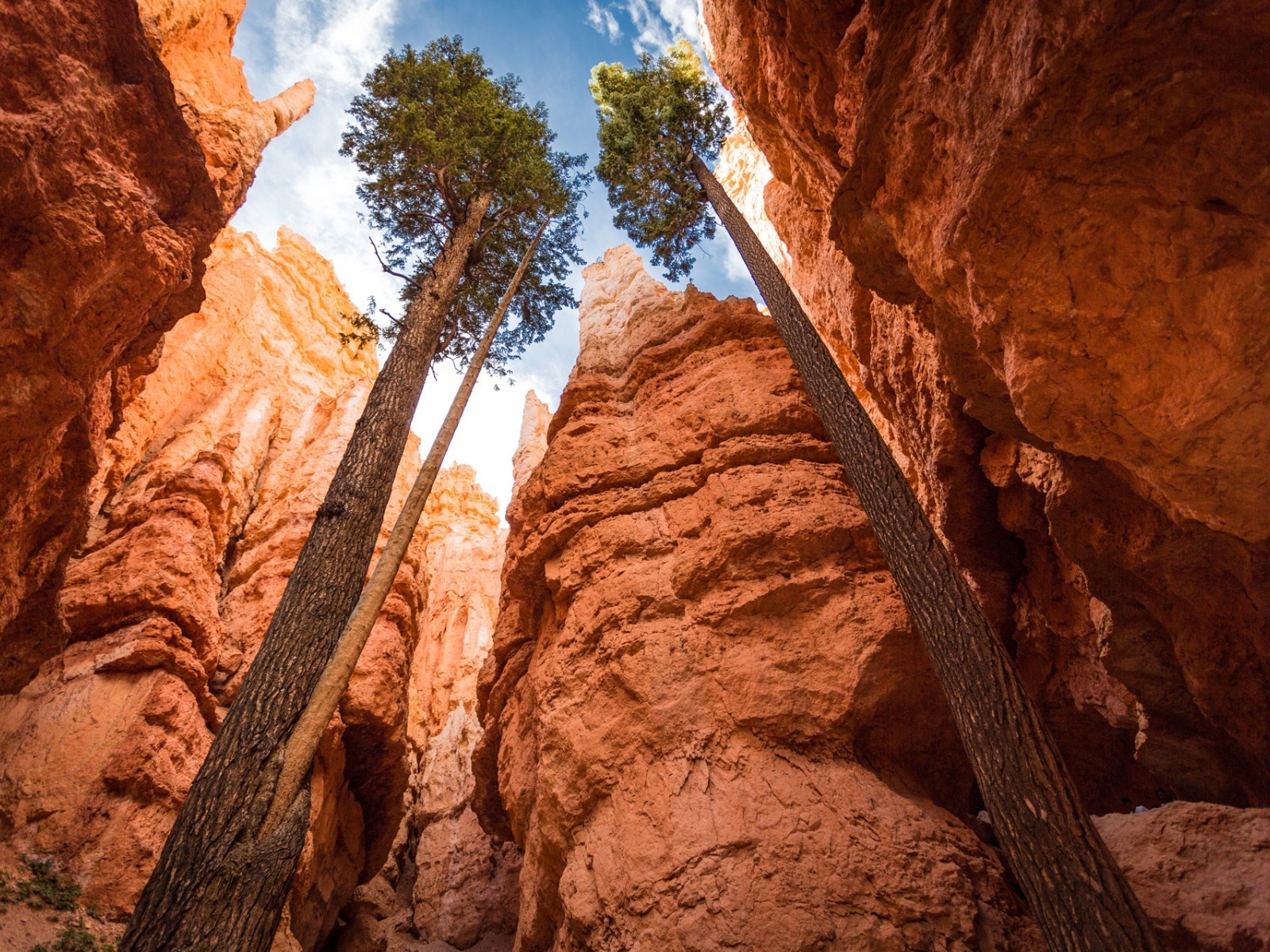 Canyon National Park Bryce Canyon for 1600 x 1200 resolution