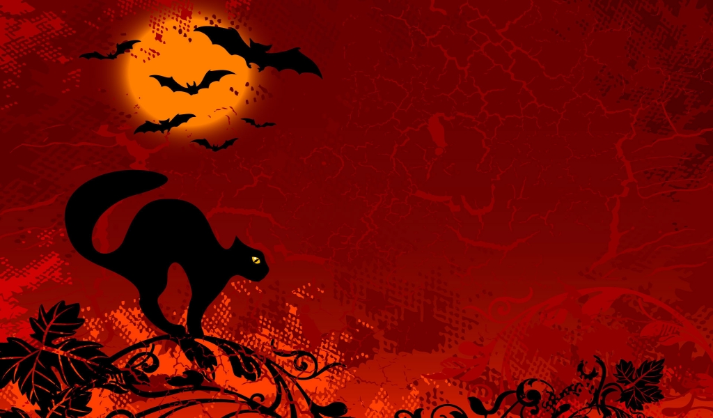 Cat Ready for Halloween for 1024 x 600 widescreen resolution