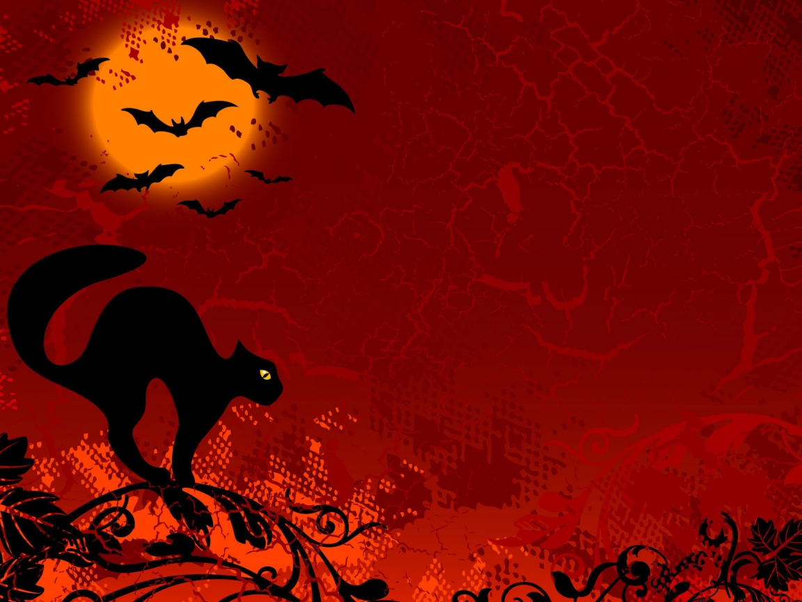 Cat Ready for Halloween for 1152 x 864 resolution