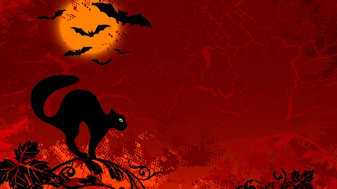 Cat Ready for Halloween for 1366 x 768 HDTV resolution