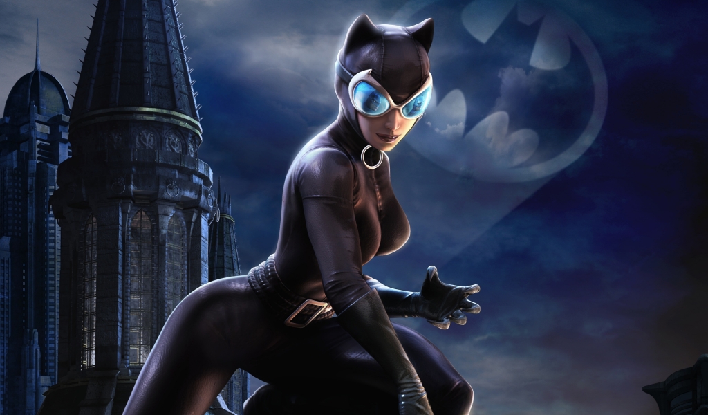 Catwoman DC Universe for 1024 x 600 widescreen resolution