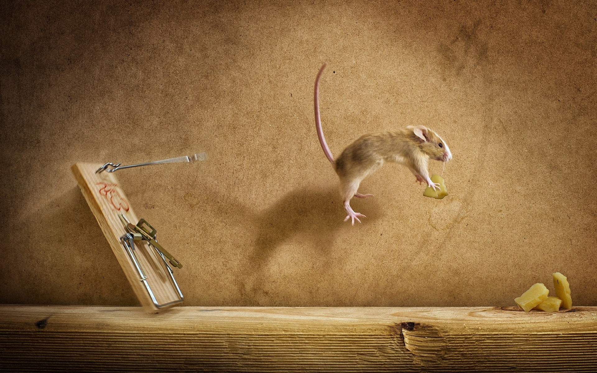 Cheese Mousetrap for 1920 x 1200 widescreen resolution