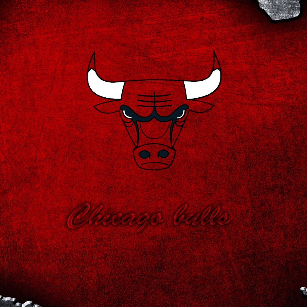 Chicago Bulls Logo for 1024 x 1024 iPad resolution