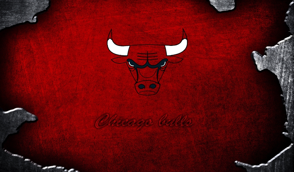 Chicago Bulls Logo for 1024 x 600 widescreen resolution