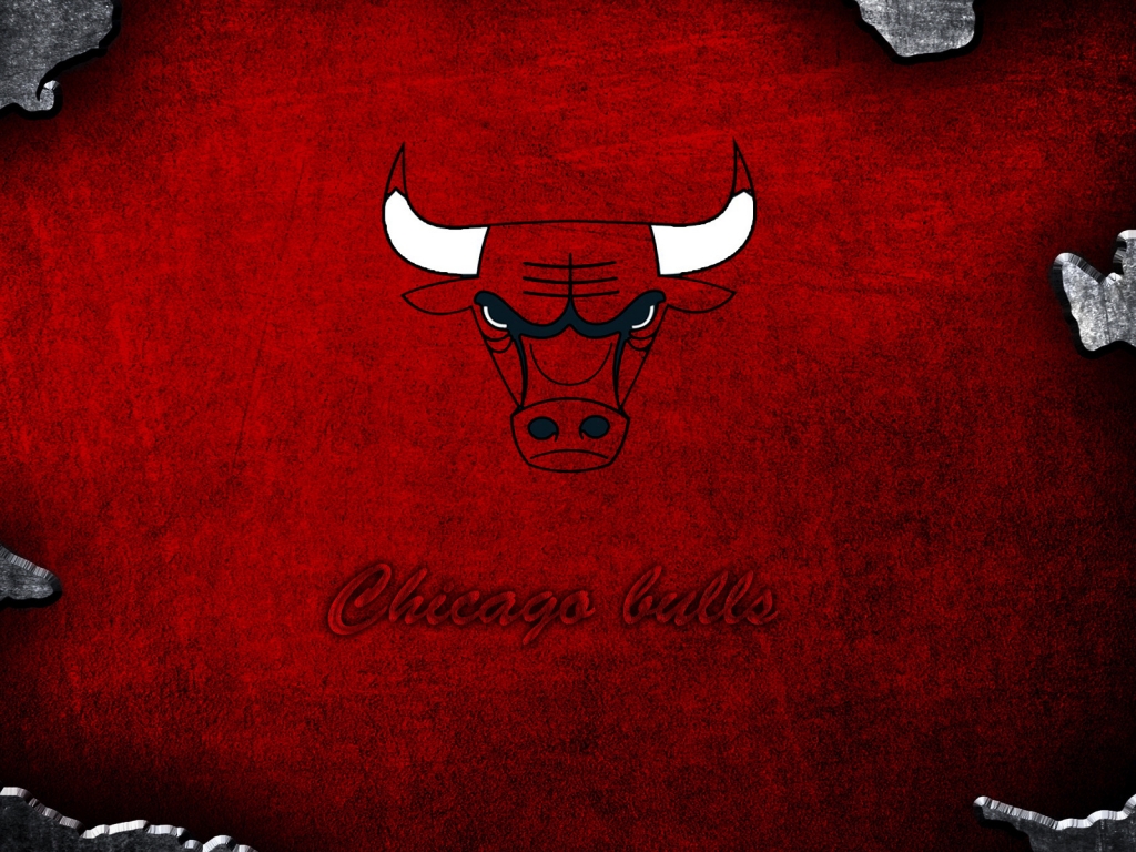 Chicago Bulls Logo for 1024 x 768 resolution
