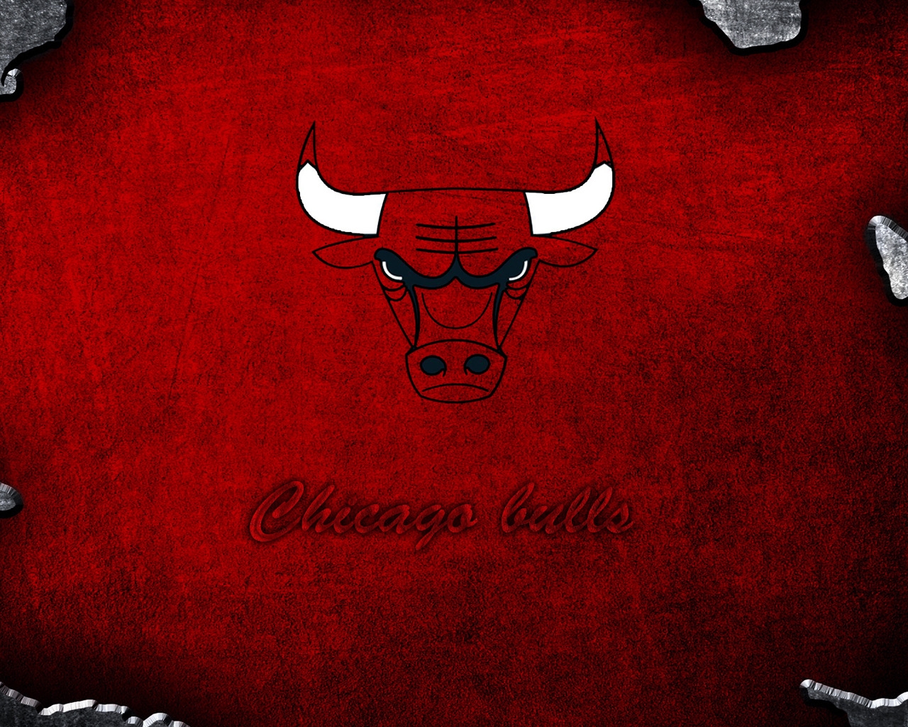 Chicago Bulls Logo for 1280 x 1024 resolution